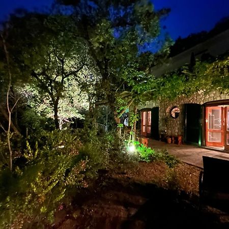 Groove'N'Grove Bed & Breakfast SantʼAgata sui Due Golfi Екстериор снимка