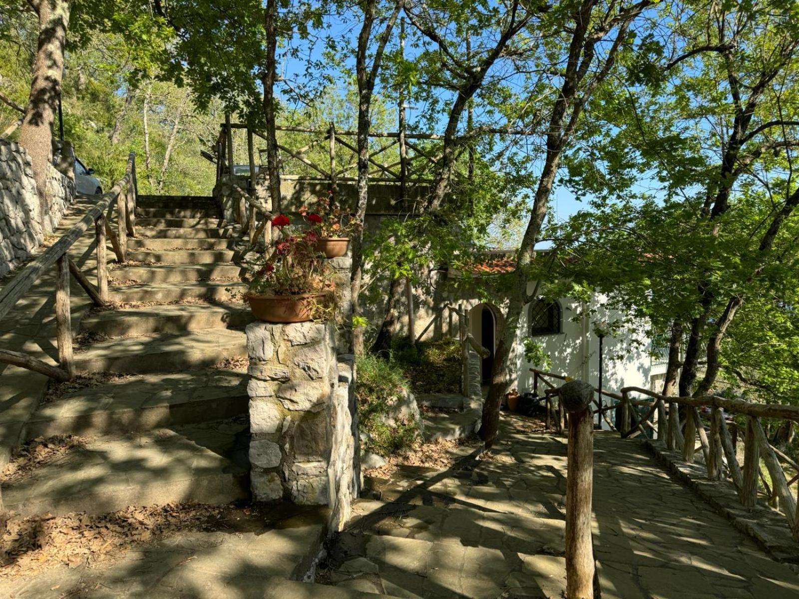Groove'N'Grove Bed & Breakfast SantʼAgata sui Due Golfi Екстериор снимка