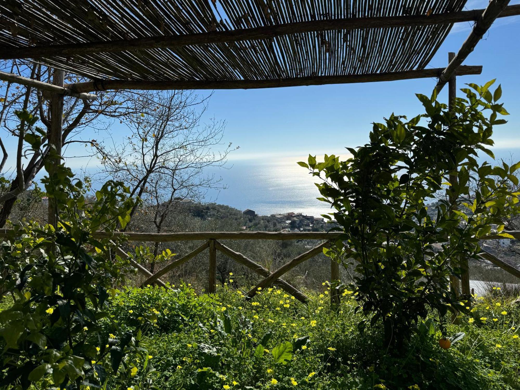 Groove'N'Grove Bed & Breakfast SantʼAgata sui Due Golfi Екстериор снимка