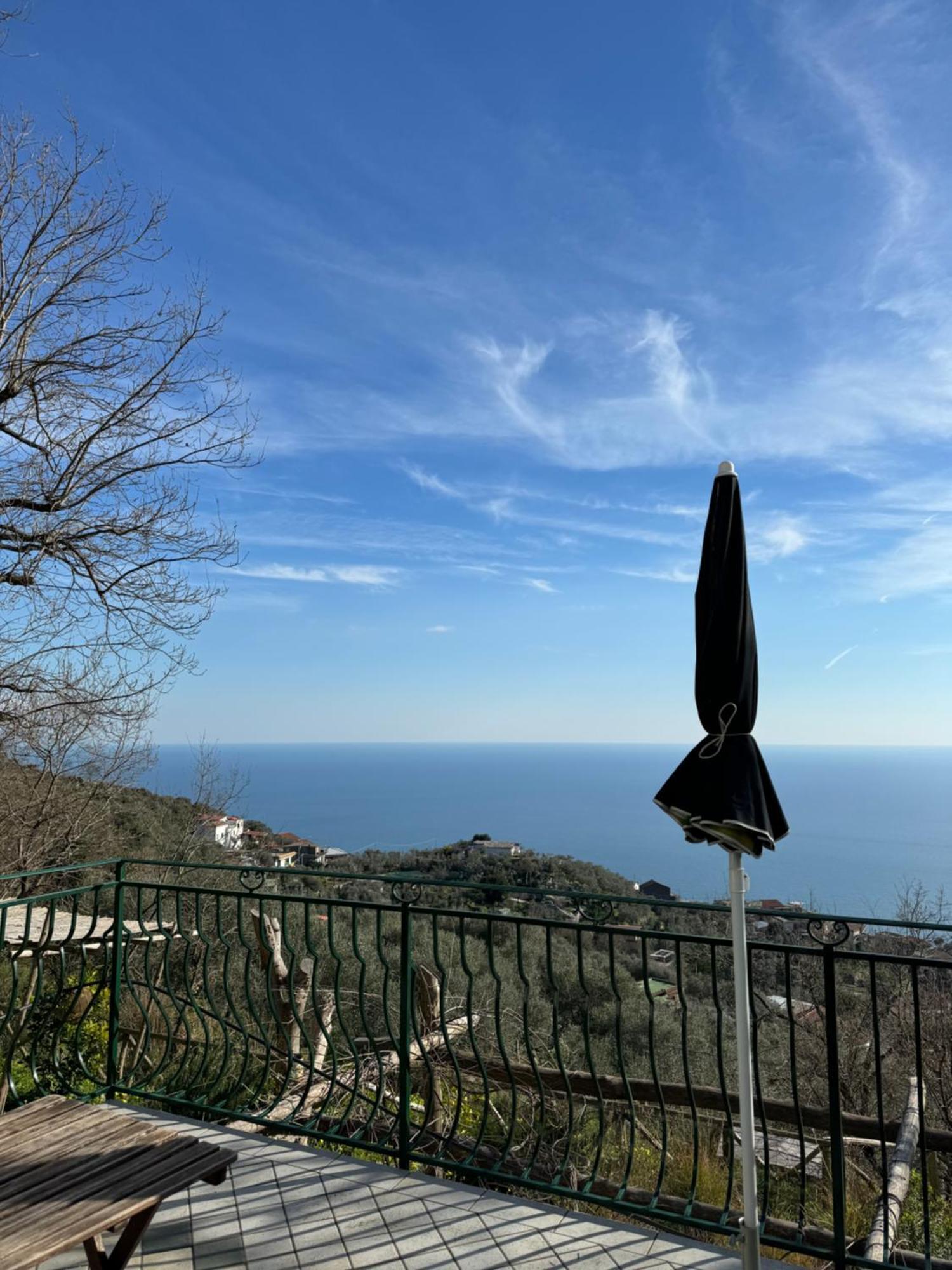 Groove'N'Grove Bed & Breakfast SantʼAgata sui Due Golfi Екстериор снимка