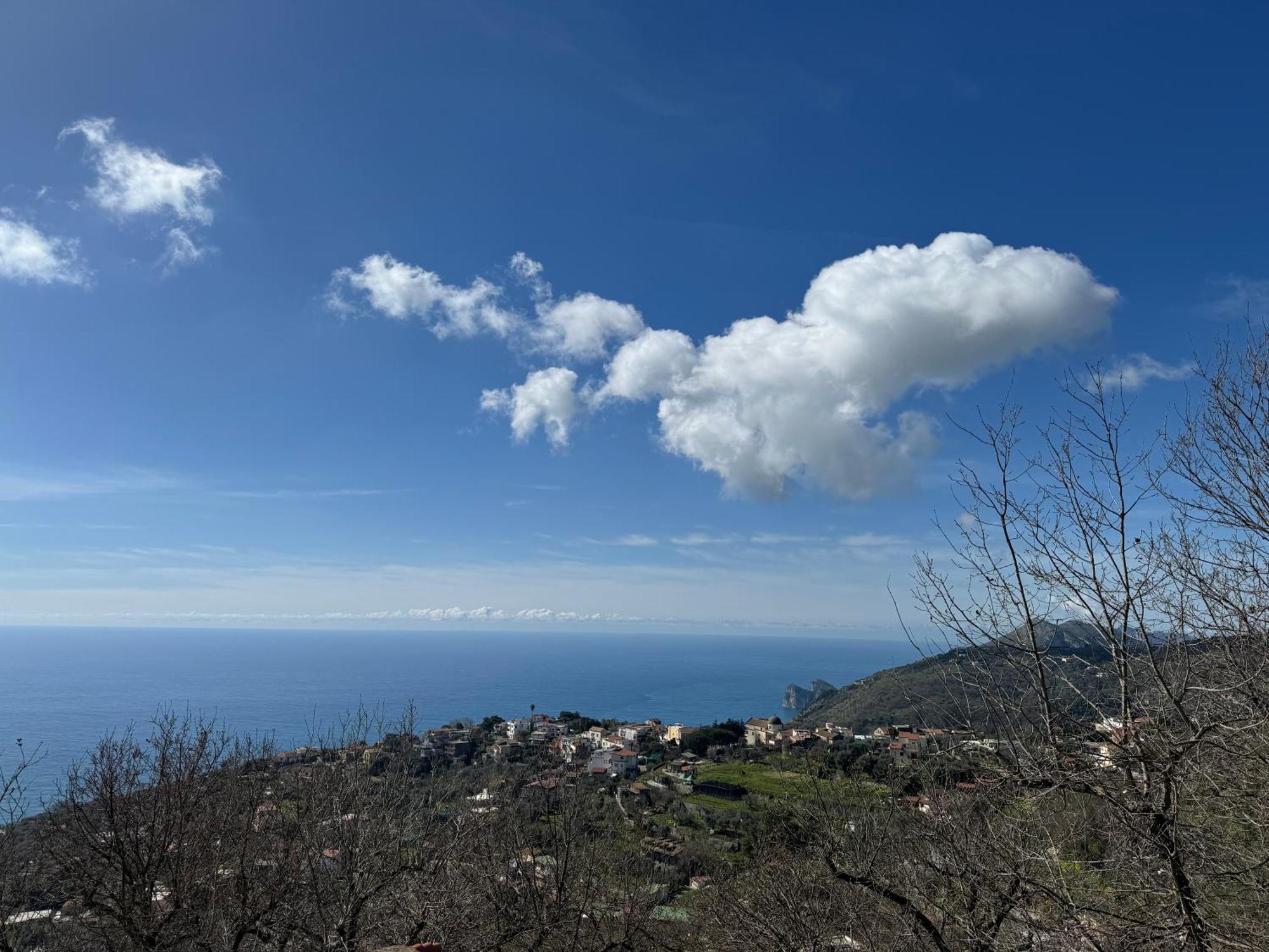 Groove'N'Grove Bed & Breakfast SantʼAgata sui Due Golfi Екстериор снимка
